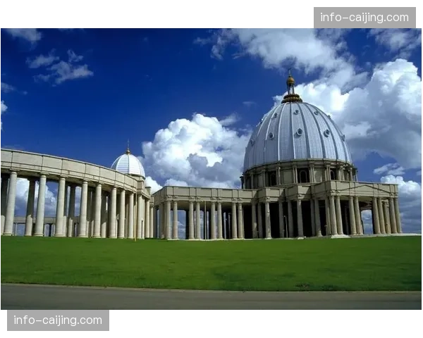 科特迪瓦新生代 非洲大象与德国厄瓜多尔同组竞争